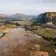 Rice fields in Sumatra, Indonesia